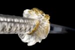 Miecz Katana Nureha (濡葉) – Mokre Liście